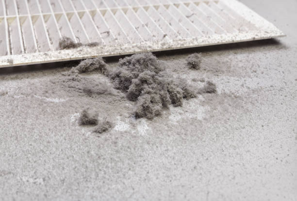 Best Air Duct Cleaning Near Me  in Troy, OH