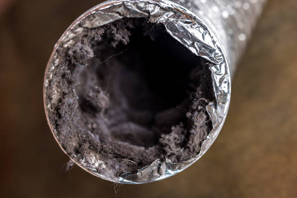Best Air Duct Mold Removal  in Troy, OH