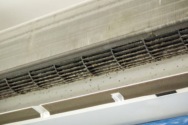 Best Local Air Duct Cleaning Services  in Troy, OH
